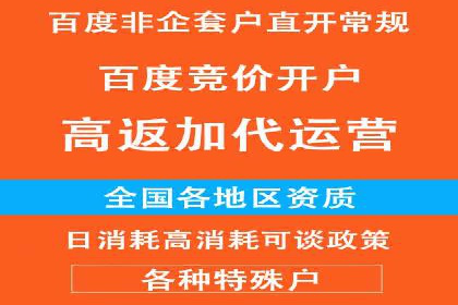 百度竞价广告与社交媒体广告的联合投放案例